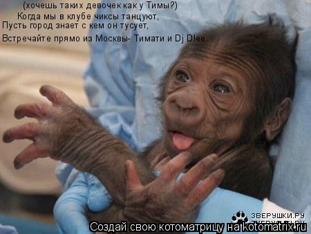 Котоматрица: Пусть город знает с кем он тусует, Встречайте прямо из Москвы- Тимати и Dj Dlee. Когда мы в клубе чиксы танцуют, (хочешь таких девочек как у Тимы?)