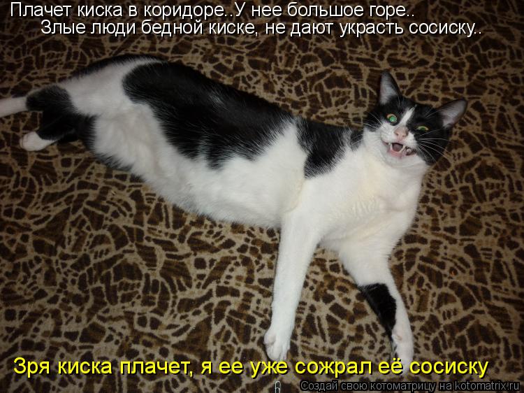 Котоматрица: Плачет киска в коридоре..У нее большое горе..  Злые люди бедной киске, не дают украсть сосиску..  Зря киска плачет, я ее уже сожрал её сосиску