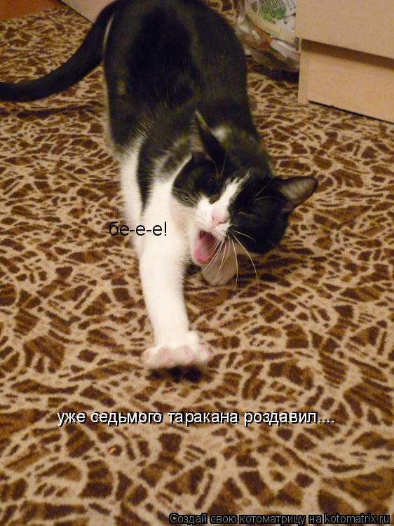 Котоматрица: бе-е-е! уже седьмого таракана роздавил.... уже седьмого таракана роздавил....