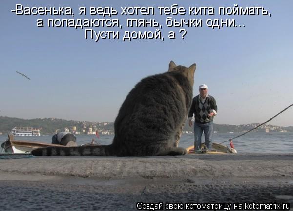 -Васенька, я ведь хотел тебе кита поймать, а попадаются, глянь, бычки одни... Пусти домой, а ?... Котоматрица: -Васенька, я ведь хотел тебе кита поймать, а попадаются, глянь, бычки одни... Пусти домой, а ?