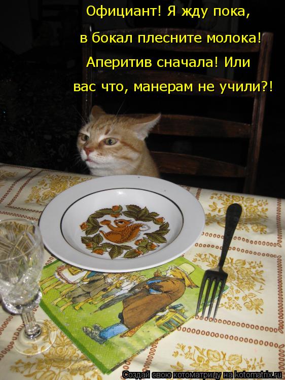 Котоматрица: Официант! Я жду пока, в бокал плесните молока! Аперитив сначала! Или вас что, манерам не учили?!