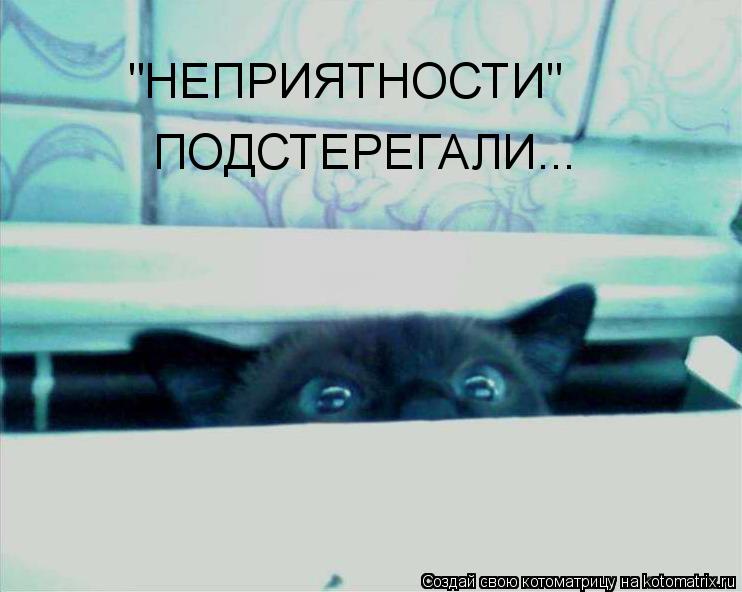 Котоматрица: "НЕПРИЯТНОСТИ" ПОДСТЕРЕГАЛИ...