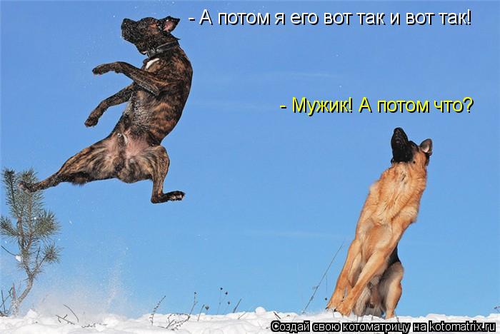 - А потом я его вот так и вот так! - Мужик! А потом что?... Котоматрица: - А потом я его вот так и вот так! - Мужик! А потом что?