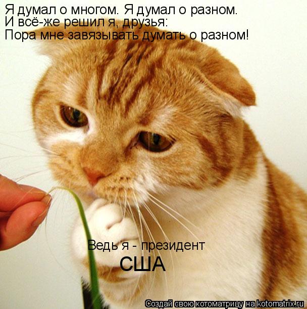 Котоматрица: Я думал о многом. Я думал о разном. И всё-же решил я, друзья: Пора мне завязывать думать о разном! США Ведь я - президент