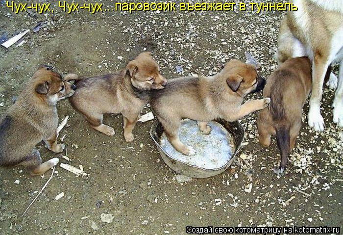 Котоматрица: Чух-чух, Чух-чух ...паровозик въезжает в туннель