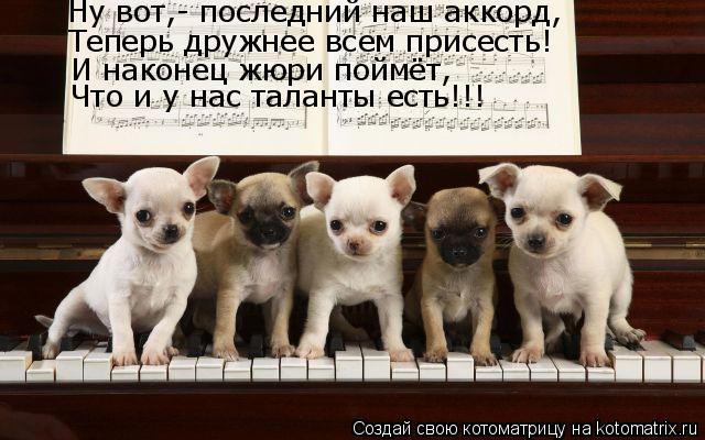 Котоматрица: Ну вот,- последний наш аккорд, Теперь дружнее всем присесть! И наконец жюри поймёт, Что и у нас таланты есть!!!