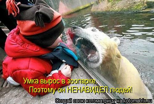 Котоматрица: Умка вырос в зоопарке.  Поэтому он НЕНАВИДЕЛ людей!