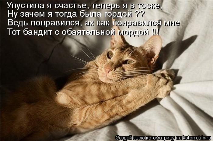 Упустила я счастье, теперь я в тоске, Ну зачем я тогда была гордой ?? Ведь понравился, ах как понрави... Котоматрица: Упустила я счастье, теперь я в тоске, Ну зачем я тогда была гордой ?? Ведь понравился, ах как понравился мне Тот бандит с обаятельной мордой !!!