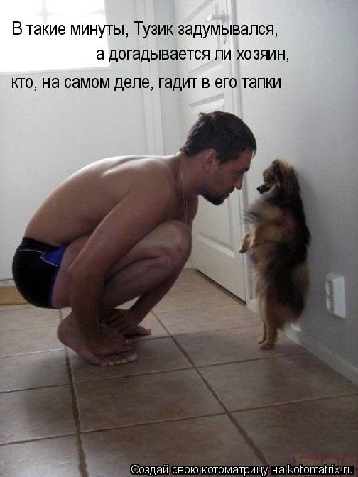 Котоматрица: В такие минуты, Тузик задумывался, а догадывается ли хозяин, кто, на самом деле, гадит в его тапки