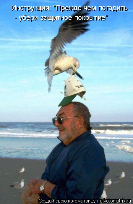 Котоматрица: Инструкция: "Прежде чем погадить  - убери защитное покрытие"