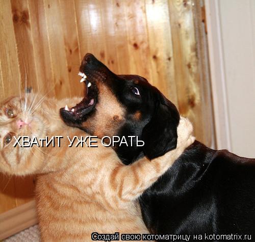 Котоматрица: ХВАтИТ УЖЕ ОРАТЬ