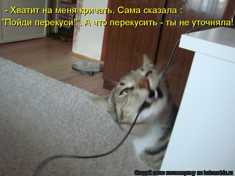 Котоматрица: - Хватит на меня кричать. Сама сказала : "Пойди перекуси!". А что перекусить - ты не уточняла!