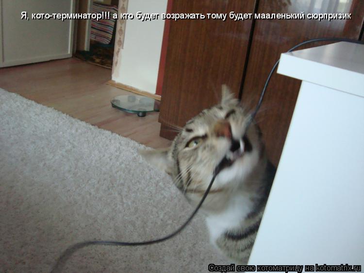 Котоматрица: Я люблю есть провода особенно после того как стал кото-терминатором))) Я люблю есть провода особенно после того как стал кото-терминатором)))