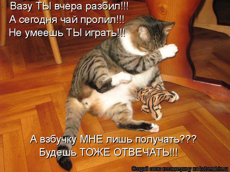 Котоматрица: Вазу ТЫ вчера разбил!!! А сегодня чай пролил!!! Не умеешь ТЫ играть!!! А взбучку МНЕ лишь получать??? Будешь ТОЖЕ ОТВЕЧАТЬ!!!