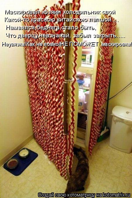 Котоматрица: Какой-то красною китайскою лапшой.... Маскировал хозяин холодильник свой Намаялся,бедняга,стало быть, Что дверцу,невзначай, забыл закрыть....