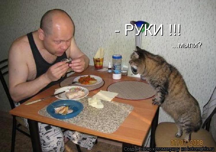 Котоматрица: - РУКИ !!! ...мыли?