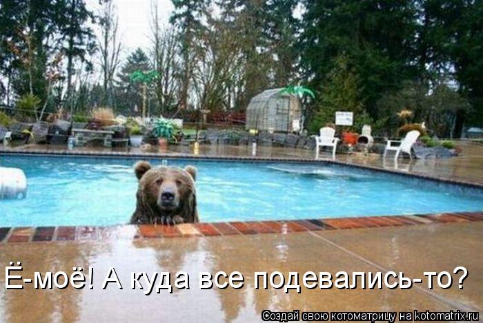 Котоматрица: Е-моё! А куда все подевались-то? ..