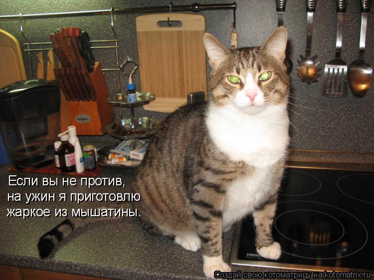 Котоматрица: Если вы не против,  на ужин я приготовлю жаркое из мышатины.