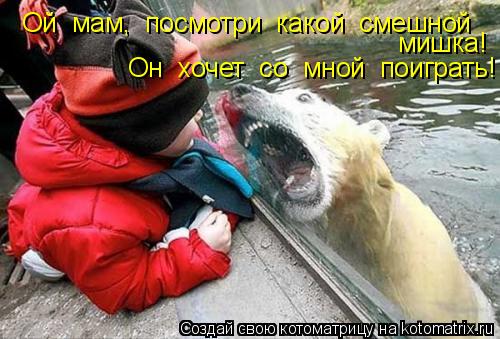 Котоматрица: Ой  мам,  посмотри  какой  смешной   мишка! Он  хочет  со  мной  поиграть!