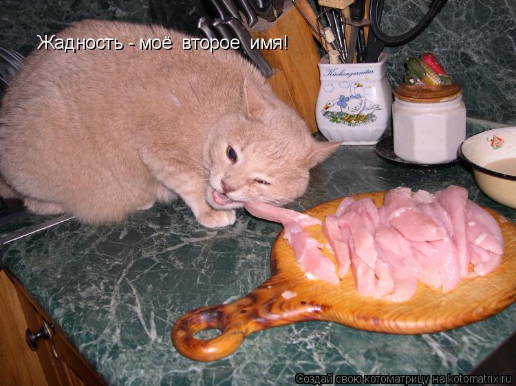 Котоматрица: Жадность - моё  второе  имя!