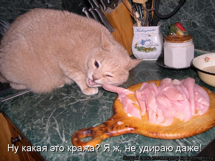 Котоматрица: Ну какая это кража? Я ж, не удираю даже!