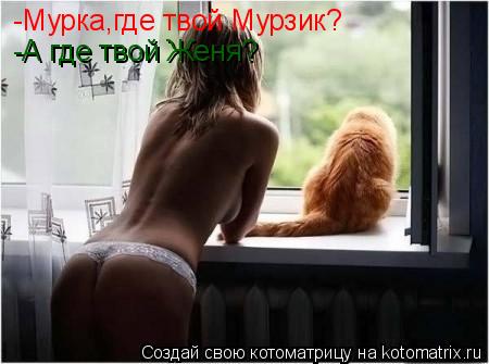 Котоматрица: -Мурка,где твой Мурзик? -А где твой Женя?