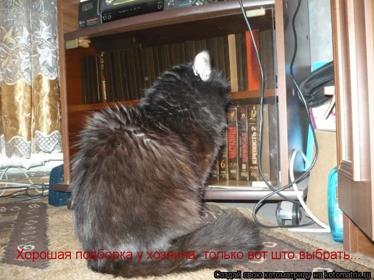Котоматрица: Хорошая подборка у хозяина, только вот што выбрать...