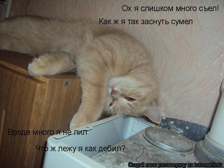 Котоматрица: Ох я слишком много съел! Как ж я так заснуть сумел Вроде много я не пил Что ж лежу я как дебил?