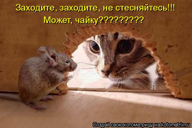 Котоматрица: Заходите, заходите, не стесняйтесь!!! Может, чайку?????????