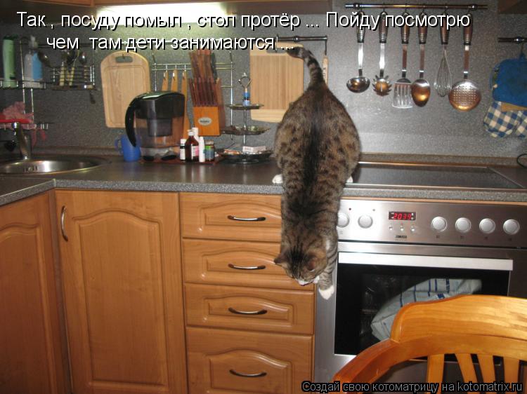 Котоматрица: Так , посуду помыл , стол протёр ... Пойду посмотрю  чем  там дети занимаются ...
