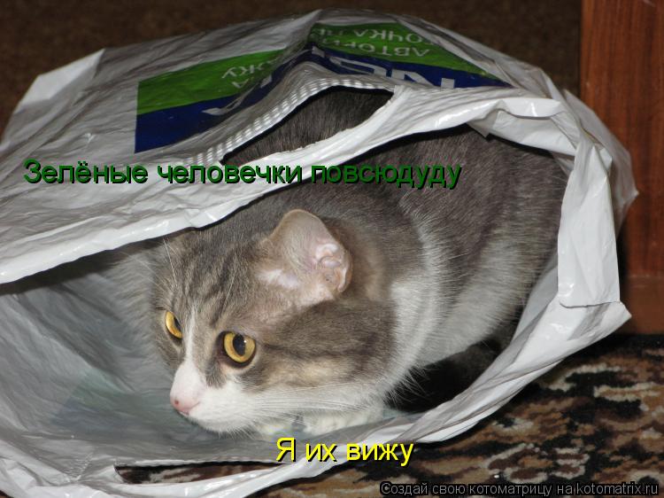 Котоматрица: Зелёные человечки повсюдуду Я их вижу