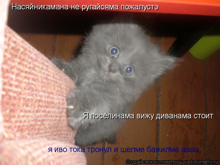 Котоматрица: Насяйникамана не ругайсяма пожалустэ Я посёлинама вижу диванама стоит  Я посёлинама вижу диванама стоит  я иво тока тронул и шелме бажилме 