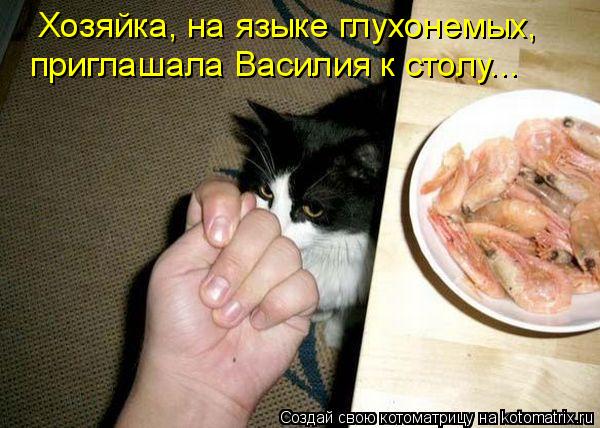 Котоматрица: Хозяйка, на языке глухонемых,  приглашала Василия к столу...