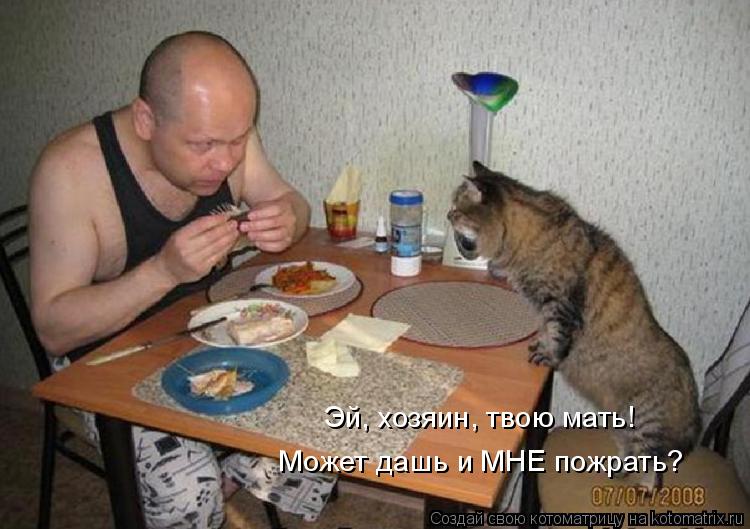 Эй, хозяин, твою мать! Может дашь и МНЕ пожрать?... Котоматрица: Эй, хозяин, твою мать! Может дашь и МНЕ пожрать?