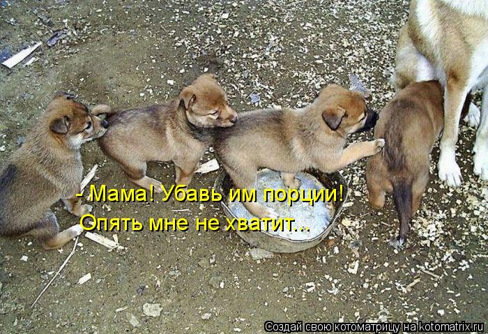 - Мама! Убавь им порции! Опять мне не хватит...... Котоматрица: - Мама! Убавь им порции! Опять мне не хватит...