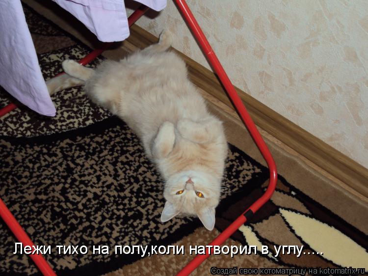 Котоматрица: Лежи тихо на полу,коли натворил в углу.....