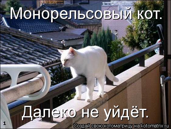 Котоматрица: Монорельсовый кот. Далеко не уйдёт.
