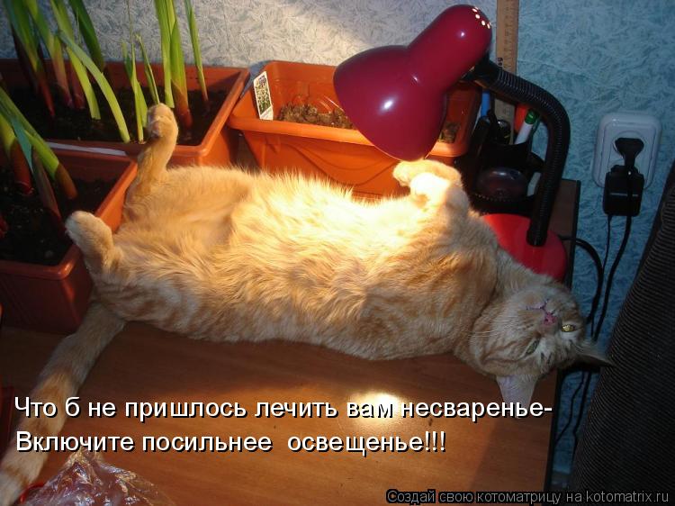 Котоматрица: Что б не пришлось лечить вам несваренье- Включите посильнее  освещенье!!!