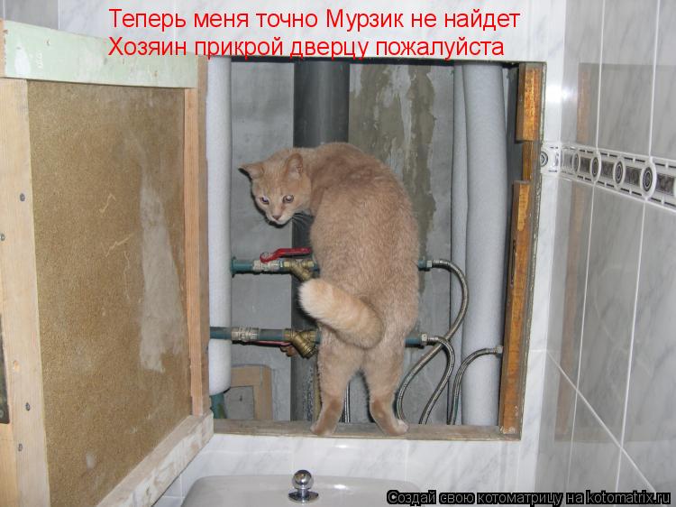 Котоматрица: Теперь меня точно Мурзик не найдет Хозяин прикрой дверцу пожалуйста