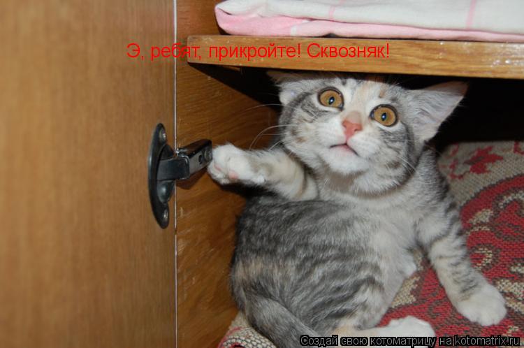 Котоматрица: Э, ребят, прикройте! Сквозняк!