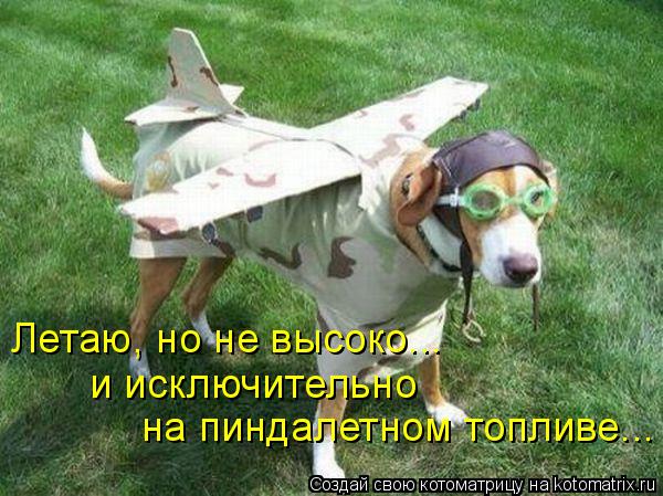 Летаю, но не высоко... на пиндалетном топливе... и исключительно... Котоматрица: Летаю, но не высоко... на пиндалетном топливе... и исключительно
