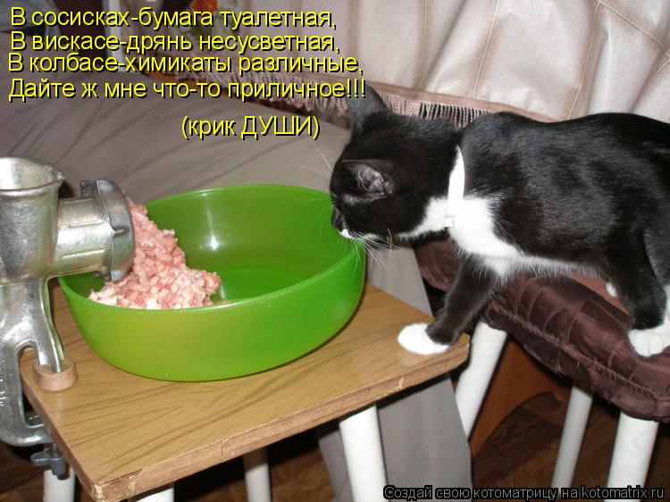 Котоматрица: В сосисках-бумага туалетная, В вискасе-дрянь несусветная, В колбасе-химикаты различные, Дайте ж мне что-то приличное!!! (крик ДУШИ)