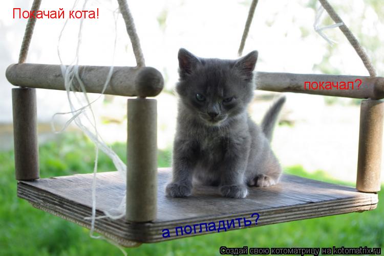 Котоматрица: Покачай кота! покачал? а погладить?