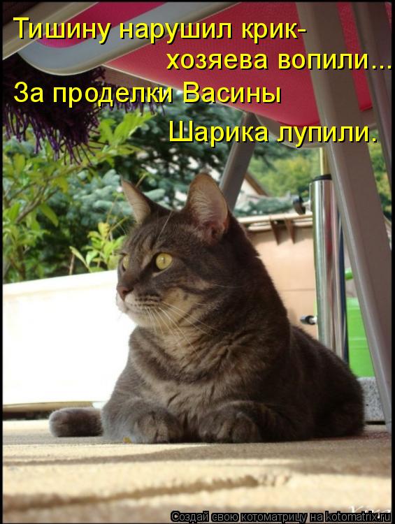Котоматрица: хозяева вопили... Тишину нарушил крик- За проделки Васины Шарика лупили.