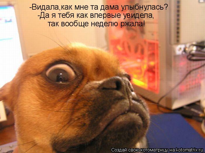 Котоматрица: -Видала,как мне та дама улыбнулась? -Да я тебя как впервые увидела, так вообще неделю ржала!