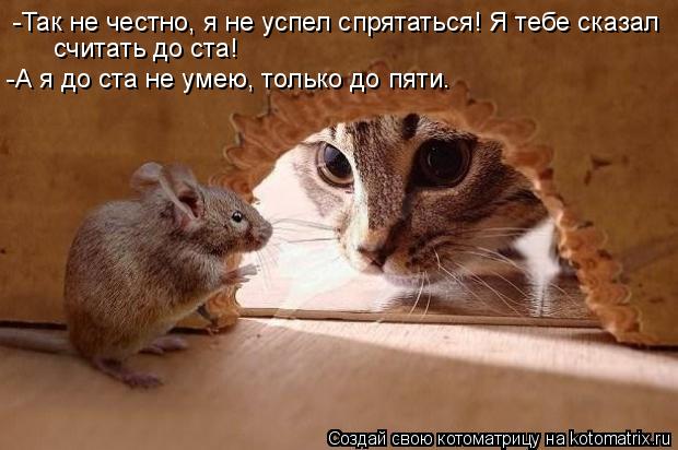 Котоматрица: -Так не честно, я не успел спрятаться! Я тебе сказал  считать до ста! -А я до ста не умею, только до пяти.