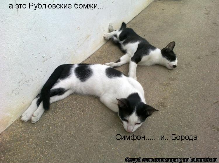 Котоматрица: а это Рублювские бомжи.... Симфон.......и...Борода
