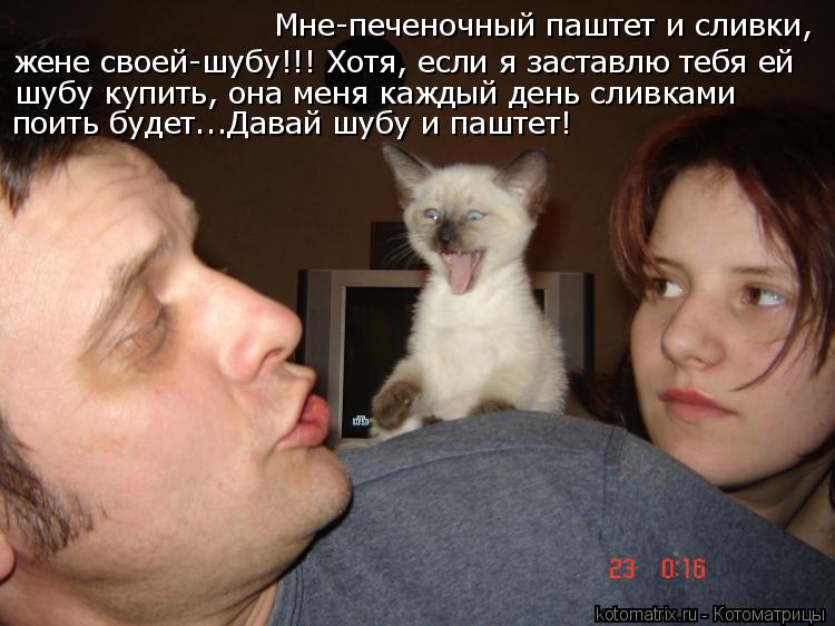 Котоматрица: Мне-печеночный паштет и сливки, жене своей-шубу!!! Хотя, если я заставлю тебя ей  шубу купить, она меня каждый день сливками  поить будет...Дава