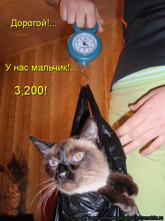 Котоматрица: Дорогой!... У нас мальчик!... 3,200!