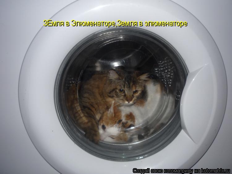 Котоматрица: ЗЕмля в Элюменаторе,Земля в элюменаторе